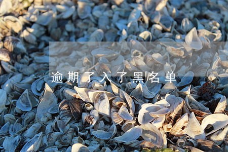 逾期了入了黑名单 逾期了入了黑名单