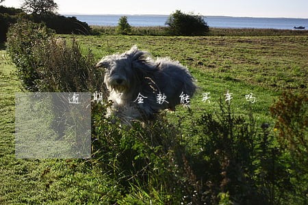 逾期了全款能买车吗 逾期了全款能买车吗