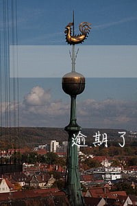 逾期了公司要履约保证金可以不给 逾期了公司要履约保证金可以不给