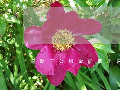 逾期了公积金能取出来吗 逾期了公积金能取出来吗