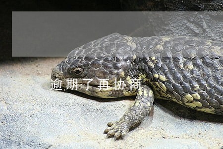 逾期了再协商 逾期了再协商