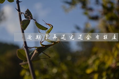 逾期了再还完还会有额度吗