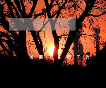 逾期了冻结工资 逾期了冻结工资