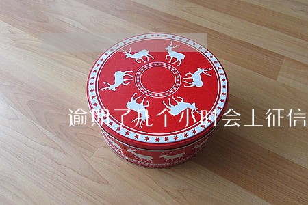 逾期了几个小时会上征信吗 逾期了几个小时会上征信吗