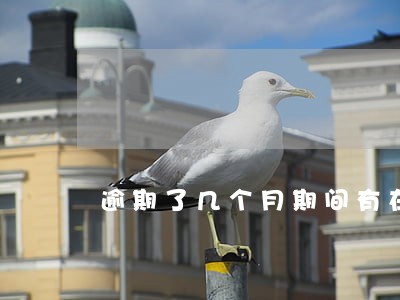 逾期了几个月期间有在还