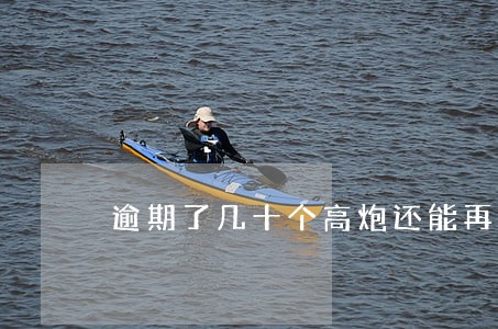 逾期了几十个高炮还能再借钱吗 逾期了几十个高炮还能再借钱吗