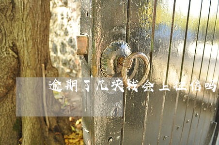逾期了几块钱会上征信吗 逾期了几块钱会上征信吗