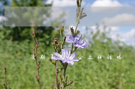 逾期了几天会上征信吗 逾期了几天会上征信吗