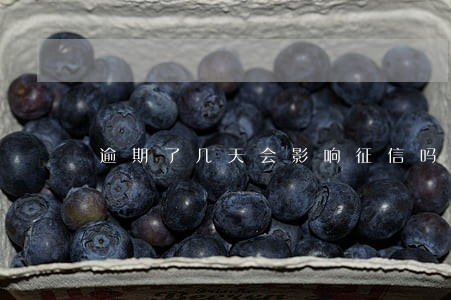 逾期了几天会影响征信吗 逾期了几天会影响征信吗