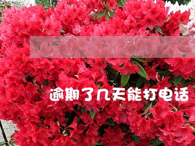 逾期了几天能打电话 逾期了几天能打电话