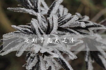逾期了几天还清 逾期了几天还清
