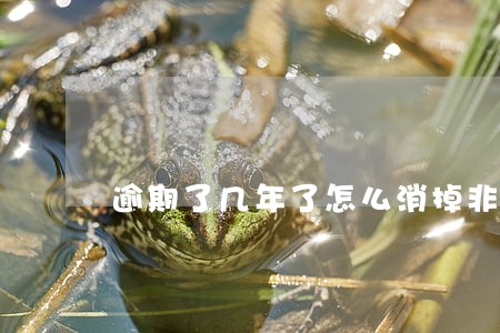 逾期了几年了怎么消掉非恶意拖欠 逾期了几年了怎么消掉非恶意拖欠