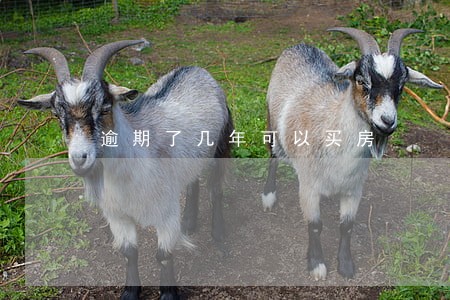 逾期了几年可以买房 逾期了几年可以买房