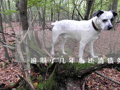 逾期了几年后还清债务算是老赖吗 逾期了几年后还清债务算是老赖吗