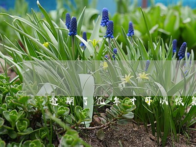 逾期了几年才可以恢复 逾期了几年才可以恢复