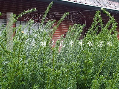 逾期了几年才能消除 逾期了几年才能消除