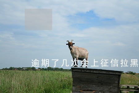 逾期了几次会上征信拉黑了 逾期了几次会上征信拉黑了