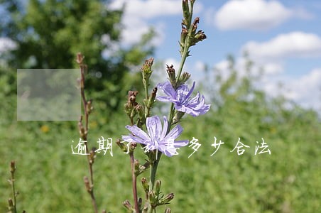 逾期了利息多少合法 逾期了利息多少合法