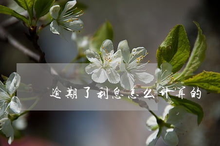 逾期了利息怎么计算的 逾期了利息怎么计算的