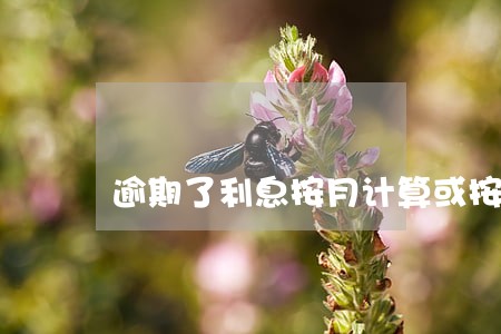 逾期了利息按月计算或按日计算 逾期了利息按月计算或按日计算