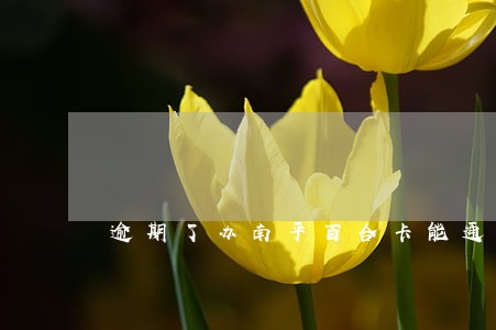 逾期了办南平百合卡能通过吗 逾期了办南平百合卡能通过吗