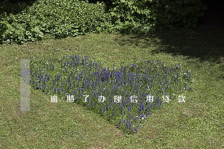 逾期了办理信用贷款 逾期了办理信用贷款