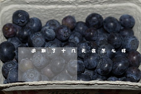 逾期了十几天会怎么样
