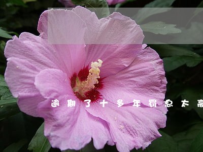 逾期了十多年罚息太高如何办 逾期了十多年罚息太高如何办