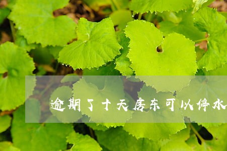 逾期了十天房东可以停水电吗