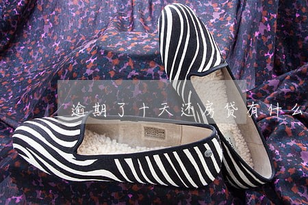 逾期了十天还房贷有什么影响 逾期了十天还房贷有什么影响