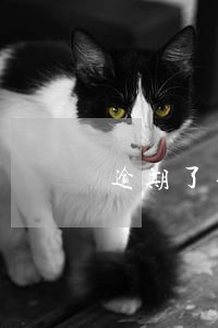 逾期了半个月会上征信吗 逾期了半个月会上征信吗