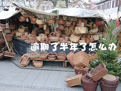 逾期了半年了怎么办 逾期了半年了怎么办