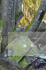 逾期了半年的信用卡还了还能用吗 逾期了半年的信用卡还了还能用吗