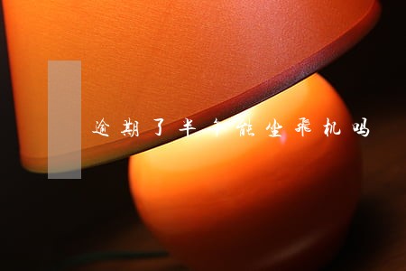 逾期了半年能坐飞机吗 逾期了半年能坐飞机吗