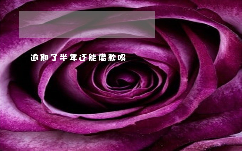 逾期了半年还能借款吗 逾期了半年还能借款吗