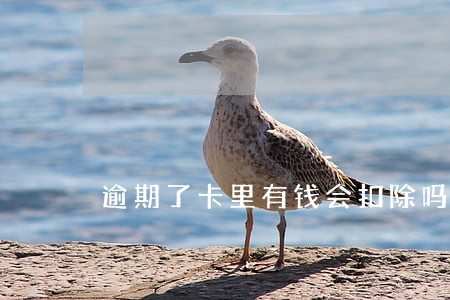 逾期了卡里有钱会扣除吗