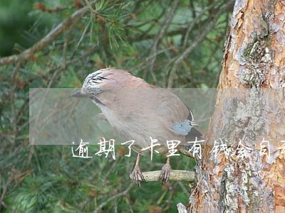 逾期了卡里有钱会自动扣吗 逾期了卡里有钱会自动扣吗