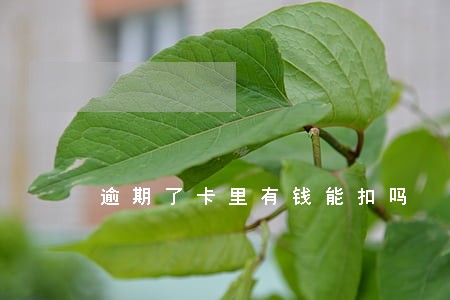 逾期了卡里有钱能扣吗 逾期了卡里有钱能扣吗