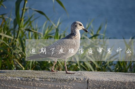 逾期了发短信庭审是什么意思 逾期了发短信庭审是什么意思