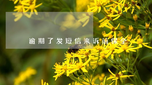 逾期了发短信来诉前保全 逾期了发短信来诉前保全
