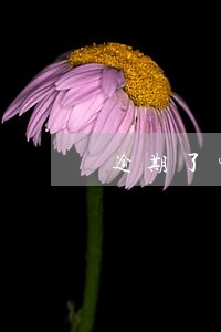 逾期了叫你回电话协商是什么意思 逾期了叫你回电话协商是什么意思