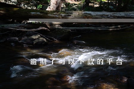 逾期了可以下款的平台 逾期了可以下款的平台
