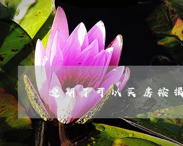 逾期了可以买房按揭吗