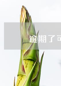 逾期了可以买车险吗 逾期了可以买车险吗