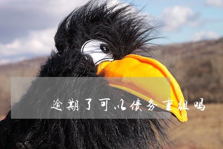 逾期了可以债务重组吗 逾期了可以债务重组吗