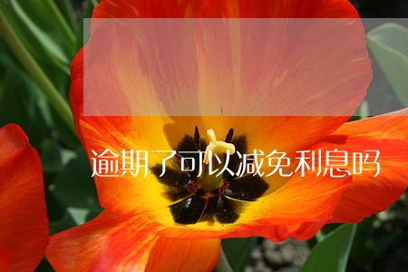 逾期了可以减免利息吗 逾期了可以减免利息吗
