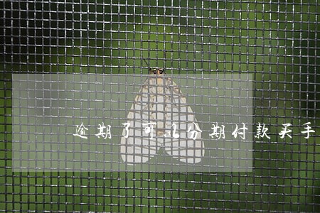 逾期了可以分期付款买手机吗 逾期了可以分期付款买手机吗