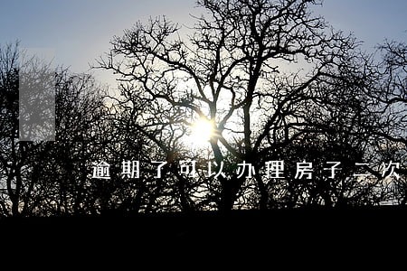 逾期了可以办理房子二次抵押吗