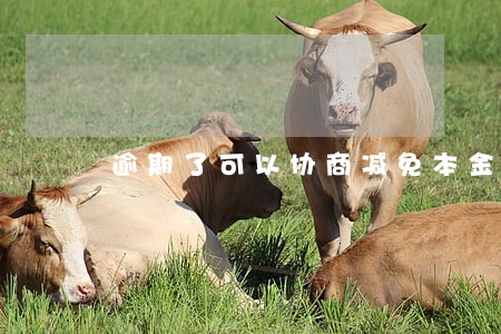 逾期了可以协商减免本金吗