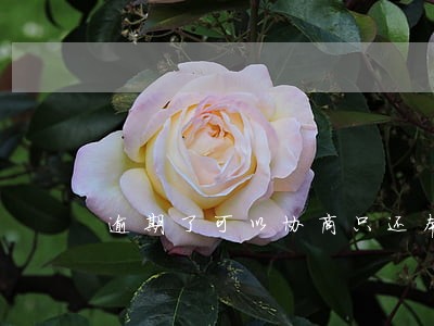 逾期了可以协商只还本金吗 逾期了可以协商只还本金吗